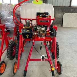 汽油动力自走式打药机麦田蔬菜地喷雾器手扶式折叠杆喷药机图片