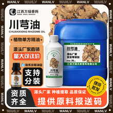 川芎油 厂家直供蒸馏萃取单方植物精油 化妆品按摩调配草本精油