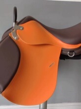 �R����ȫ�׷��־C�ϰ��̌Wʹ���οͰ��R�g�þ�GP SADDLE