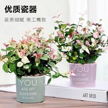 ���~�jʯ���~�jʯ�҃��̨���m����ֲ�����ٻ����S��jʯ��ʻ���