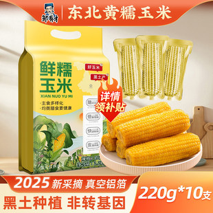 2025��؛ �|���SŴ���װ�10֧�S���X���b��֬�SŴ����|������