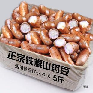 ���rɽș��5���̖�F��ɽș�����Ͻ����ؿh�ѻ�ɽ���Ǻ��J��3