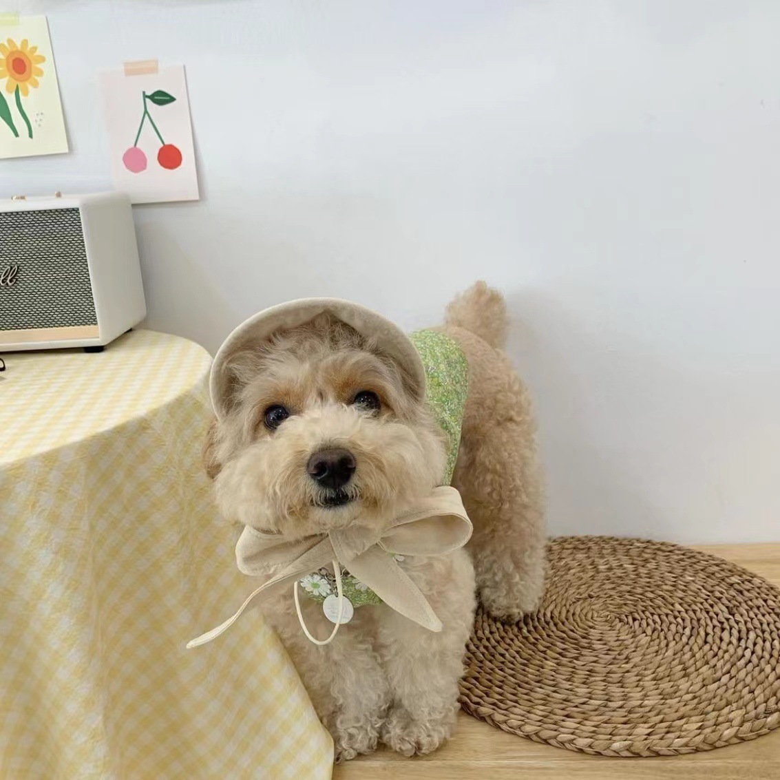 微信图片_20220809130430