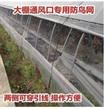 草莓大棚防鸟网暖棚口两侧农用通风口防护用葡萄果园果树天沟网