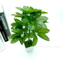 ����Gֲ��צľ�Ҿ������b@�־G��ֲ����ܛ�b���̿羳����