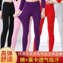 批发一件代发女秋裤莱卡棉中老年保暖裤修身打底裤秋冬高腰棉线裤