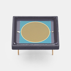 HAMAMATSU 滨松 G8370-10 InGaAs PIN 光电二极管