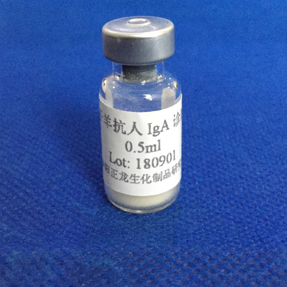 提供教学专用冻干羊抗人IgA血清（适用于单扩双扩免疫电泳实验）