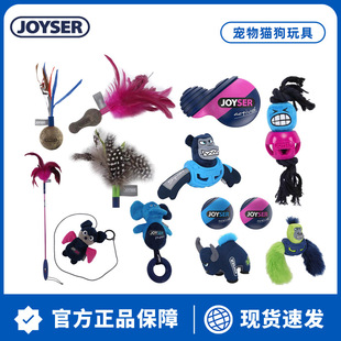 JOYSER���ﹷ��ë�q�l��߰l���ϙ���؈����؈��߿�ҧ�␞