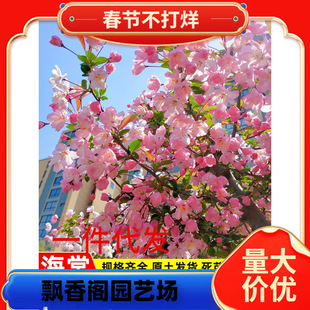 һ�����l���Ę���ͥԺ�������z���Ļ����Ե��Դ����ļ������ͺ���