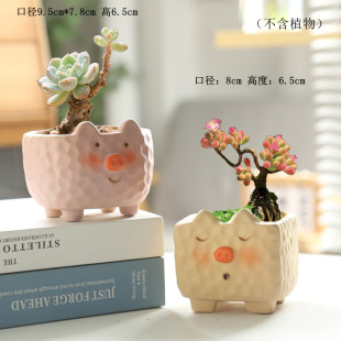 ��ͨС�������ɐ۲��L����͸����⻨�肀�Գ��Ȕ[����ˇƷ���l