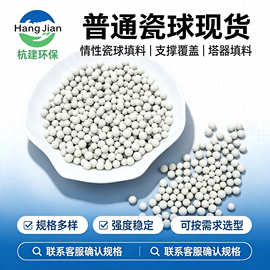 厂家供应普通瓷球6mm规格齐全低吸水率耐酸碱冶金环保设备用填料