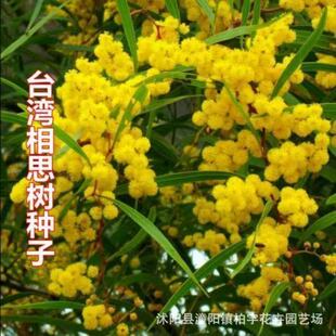 ̨����˼�N��̨������˼��N����˼�ӷN����𻨷N���²���ľ��N