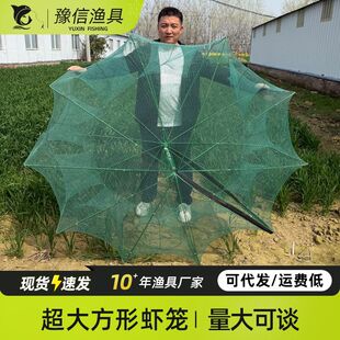 �¿���~�\���r�W�r�\�~�W�з�\�S�X�\�O�W���~���~�W���q�\