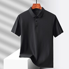 polo�r���I�ж����ٸɟo���̄�����2024�¿��ļ���ʿ����t��