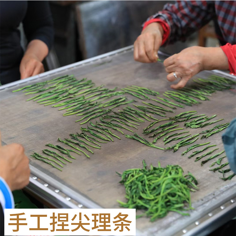 e5f243566a310257478c088f68fd9b