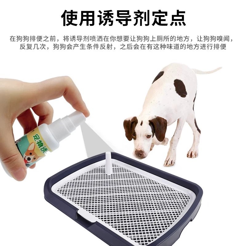 犬用トイレ誘発剤、トイレトレーニング、トイレトレーニング、ペット用定点排便誘発剤|undefined