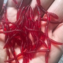 ��Ʒ�|����t�x�����~�D��ܛ�oë������ʳƷ���T�D��·���a�~�D