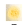 02 plain heart rose