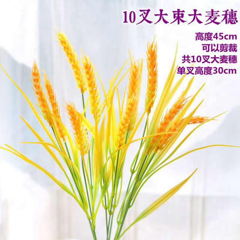 보리 10송이 -