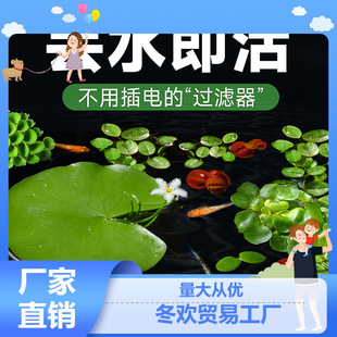 ��Ƽˮֲ���~��ˮ��һ�~ɏˮ���Jˮܽ�عŷ��B�~�쾰������ˮ�Ї�