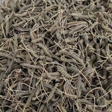 �����x�����������������������m������x�����a��؛Դ