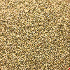 New stock malt, see the picture as if seeing the object, fried grain malt, Chinese medicinal materials, fried rice sprout seeds, a complete range of products, from the origin for supply and wholesale.