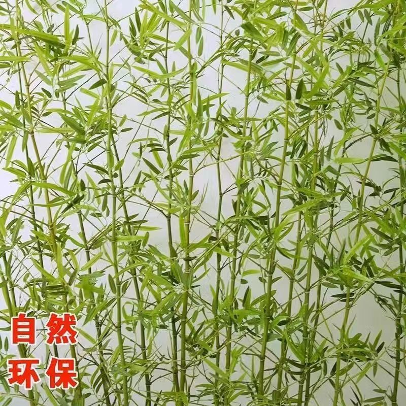 仿真竹子室内外装饰屏风造景订婚周岁布置仿真装饰竹盆栽加密绿植|undefined