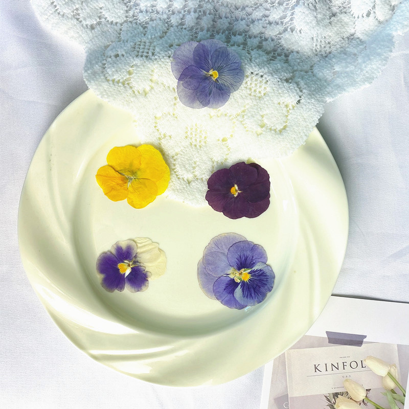 特价处理香堇角堇三色堇干花押花压花材植物标本滴胶DIY干花材料