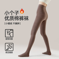 小个子咖色打底裤女秋冬加绒加厚棉竖条外穿连裤袜压力瘦腿袜批发