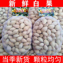 24�����r�׹��y�ӹ�1-5���b���]�oƯ�����ٹ����ָ�����y����