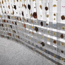 树脂标本内墙装饰品定制昆虫花草标本内嵌创意摆件铂晶水晶装饰品