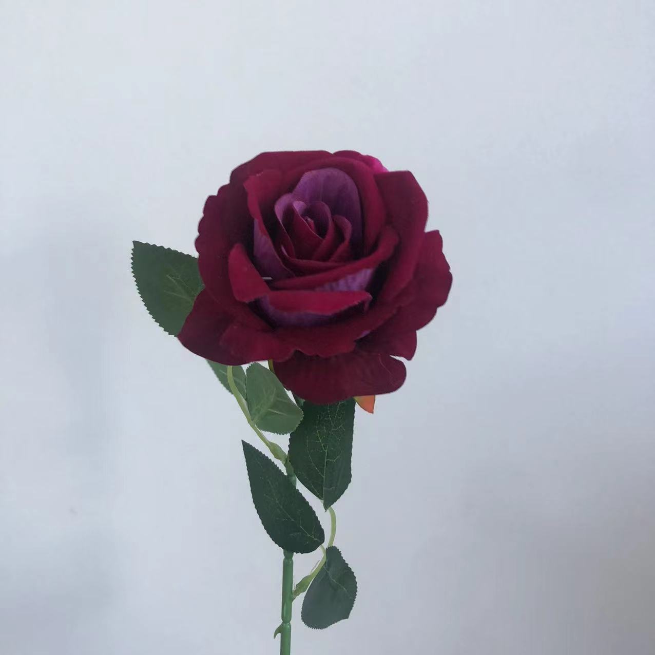 와인 레드 그라데이션