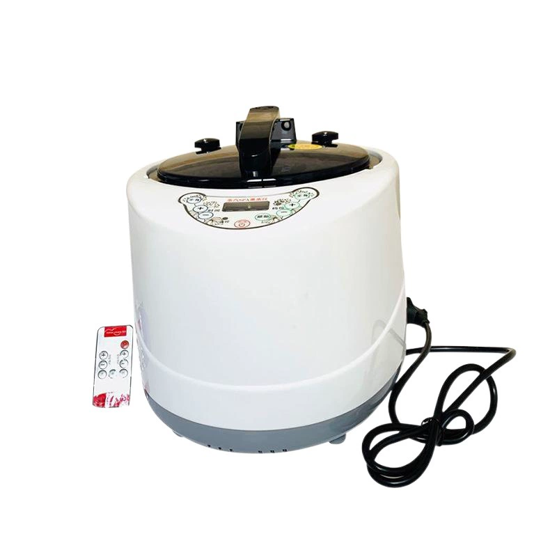 Парогенератор с двумя выходами пара, 6,5 л, для фумигации, сауны, паровой купели, с функцией подогрева воды для ног, производительность 13 л/час