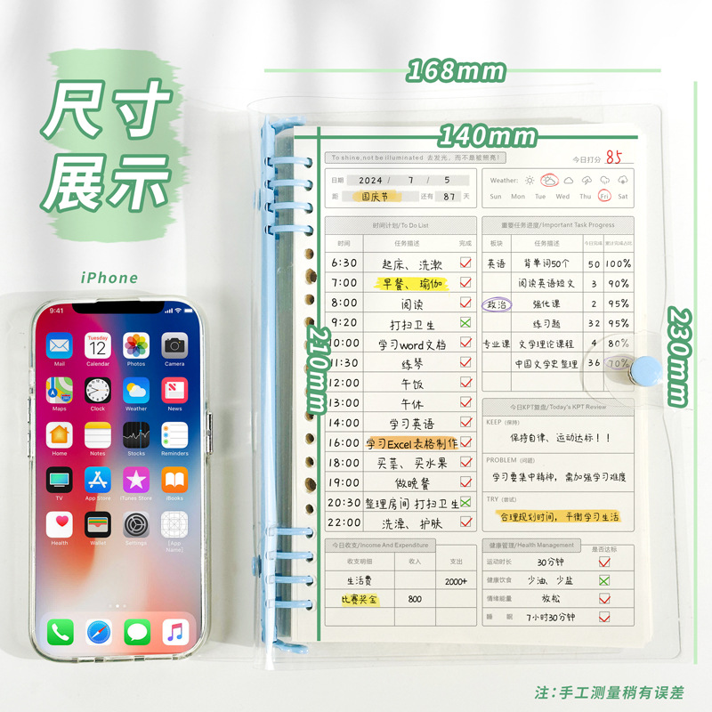 단일 교체 계획