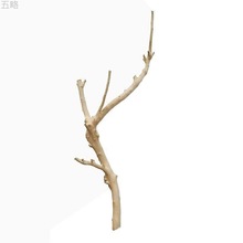 原木树杈摆件树干树枝干枝造景枯枝装饰树枝吊顶挂件艺术衣架