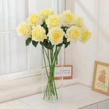 ����ѷ�羳�����ָб�ʪõ�庣��֮��õ�廨 ���������ڼ��ٻ�