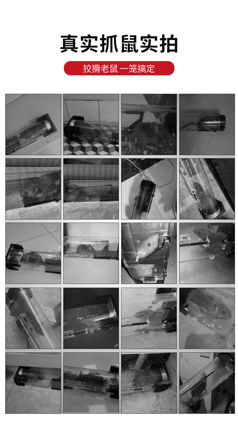 老鼠笼_06