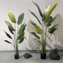 ���W�L����Gֲ�����B�����҃��b[����ֲ�����˽���ؼ٘��辰