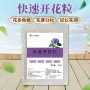 必备催花开花快速花苞