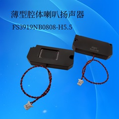 FUET メーカーは薄型キャビティ スピーカー FS3919NB0808-H5.5 1813 スマート ホーム スピーカーを供給します。