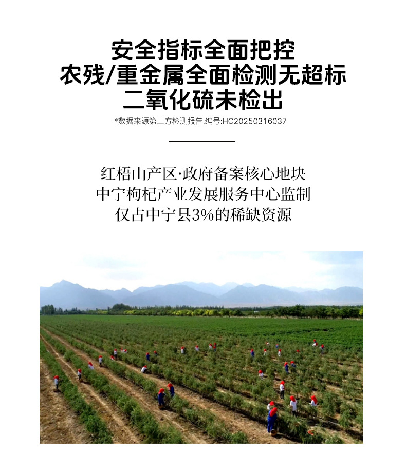 Premium Ningxia Zhongning Goji Berries Dried Wolfberry Fruit Ready to Eat 250g Box key features