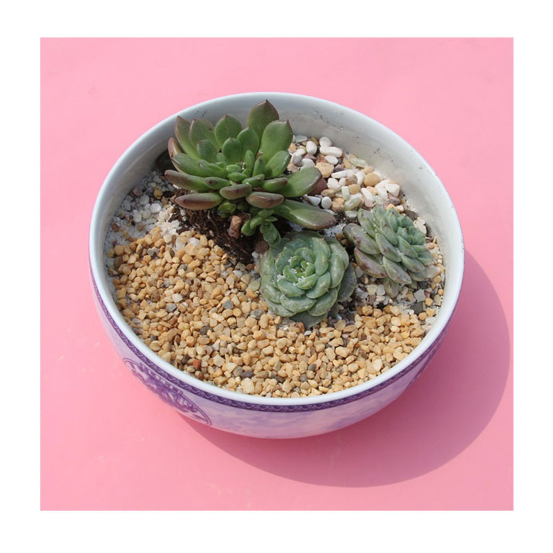 ɽֱAīˮĥʯ//СŴʯ+׾ʯ