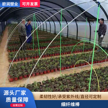 玻璃钢纤维支架 蔬菜大棚架子农用蔬菜拱棚支架玻璃钢纤维棒批发