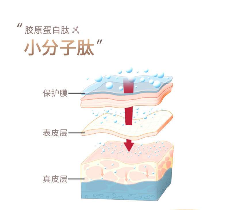 05燕窝胶原蛋白肽_08.jpg