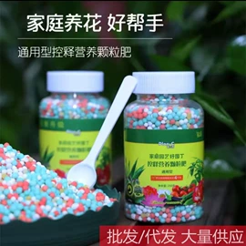 沐浴球浴擦;厨房小工具;衣钩/挂钩