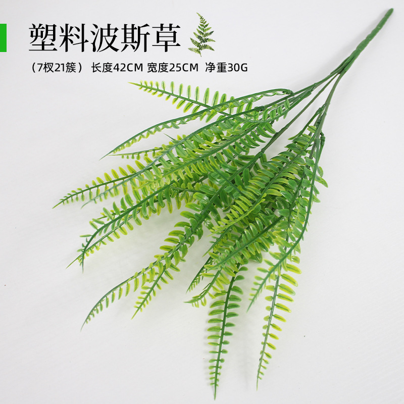 Plástico Little Persia