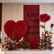 ���˹��Շ��������Ù�������b��b���̈��I��ˇ����õ�廨�쾰