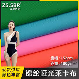 泳衣内衣布料  锦纶哑光四面高弹莱卡面料 锦氨针织弹力泳装材料