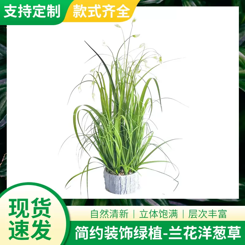 仿真洋葱草盆栽小兰花  家居装饰品仿真花盆栽 迷你洋葱草盆栽
